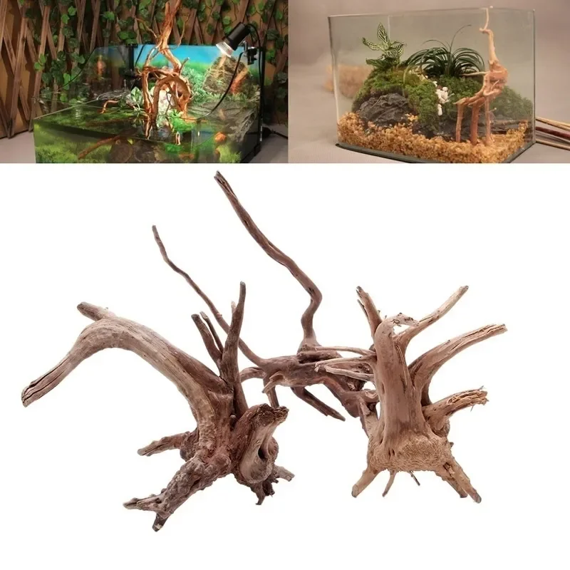 Marine Aquarium For Sale - Pohon alami kayu apung akuarium tangki
