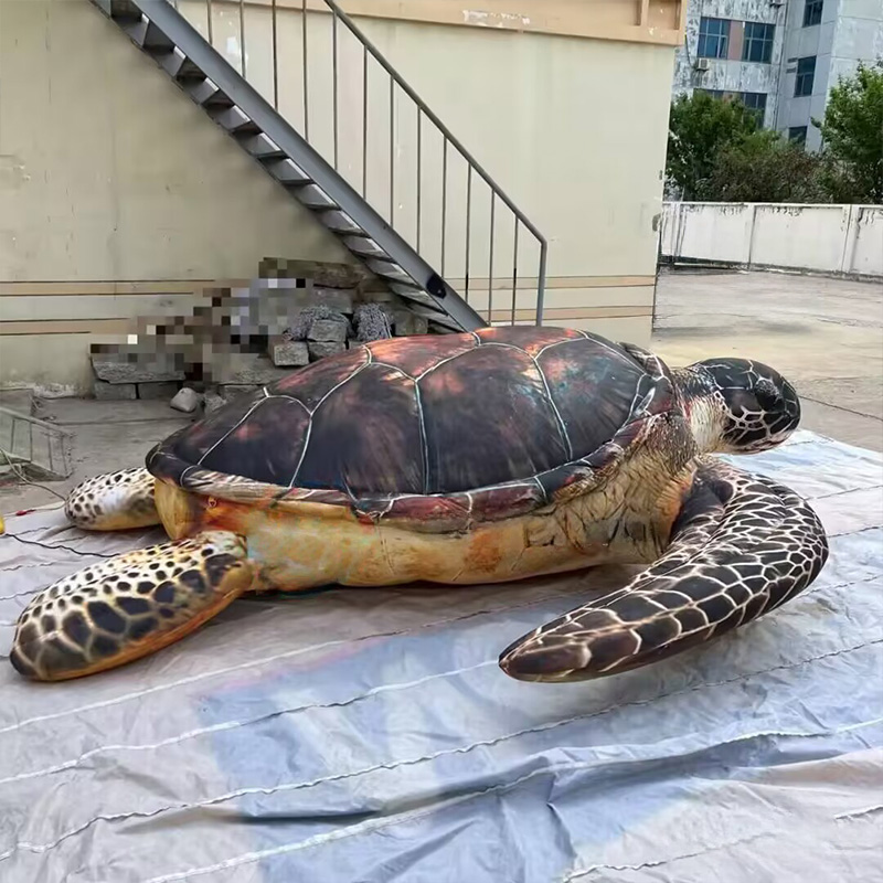 Aquarium Marine Shop - Penyu laut tiup, makhluk laut, dengan