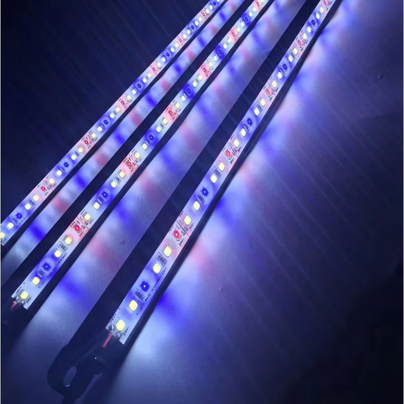 Aquarium Blue Marine Reef - Lampu LED Akuarium Tahan Air IP68