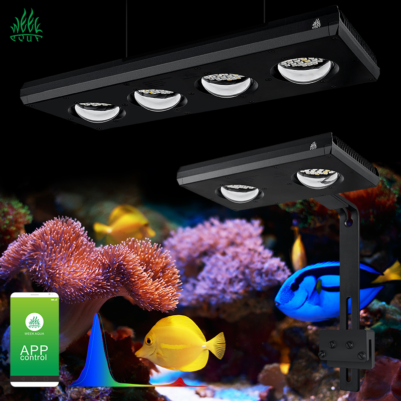 Aquarium Blue Marine Reef - Lampu LED Laut ZXY Hot Sale