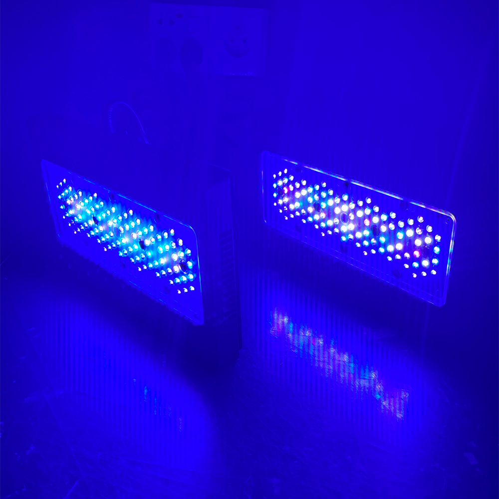 Aquarium Blue Marine Reef - Lampu LED Akuarium Terumbu Karang Laut