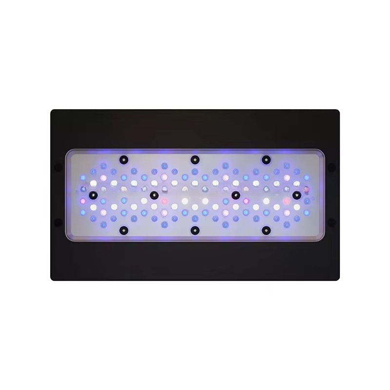 Aquarium Blue Marine Reef - Lampu LED Akuarium Terumbu Karang A8