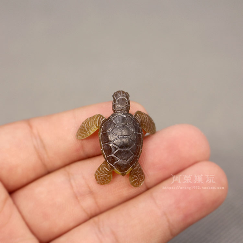 Marine Aquarium Japan - Kehidupan Laut Penyu Model Ornamen Hewan