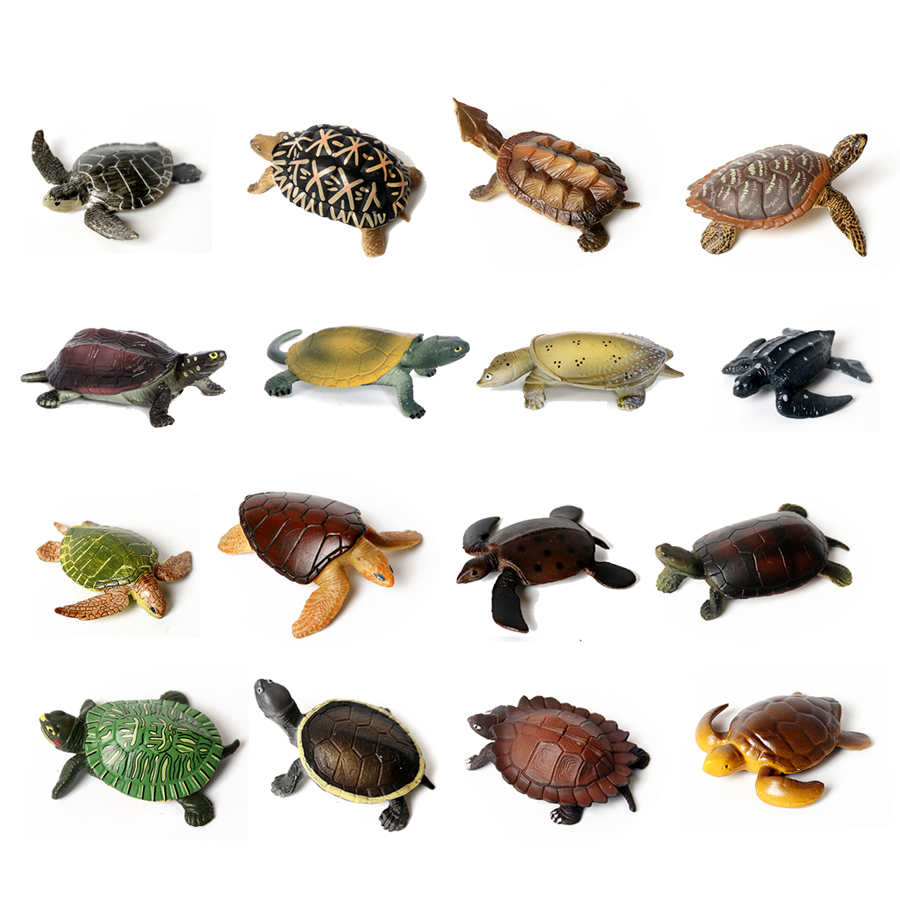 Marine Aquarium & Regional Centre Reviews - Miniatur realistis kehidupan laut Model kura-kura