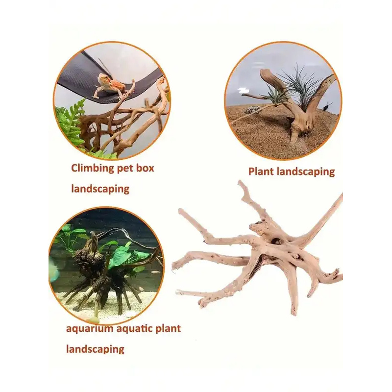 Kayu Apung Alami untuk Dekoras - Marine Aquarium For Sale ulasan dan harga