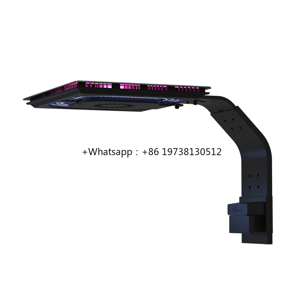Lampu LED Akuarium Air Laut Te - Marine Aquarium & Regional Centre Reviews ulasan dan harga