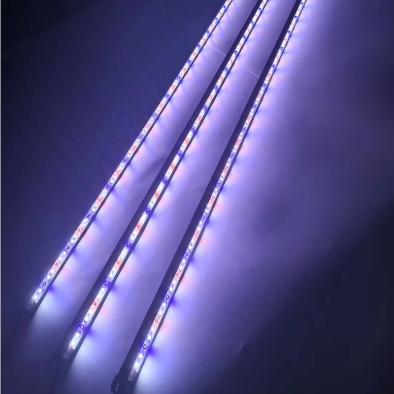 Lampu LED Akuarium Tahan Air I - Aquarium Blue Marine Reef ulasan dan harga