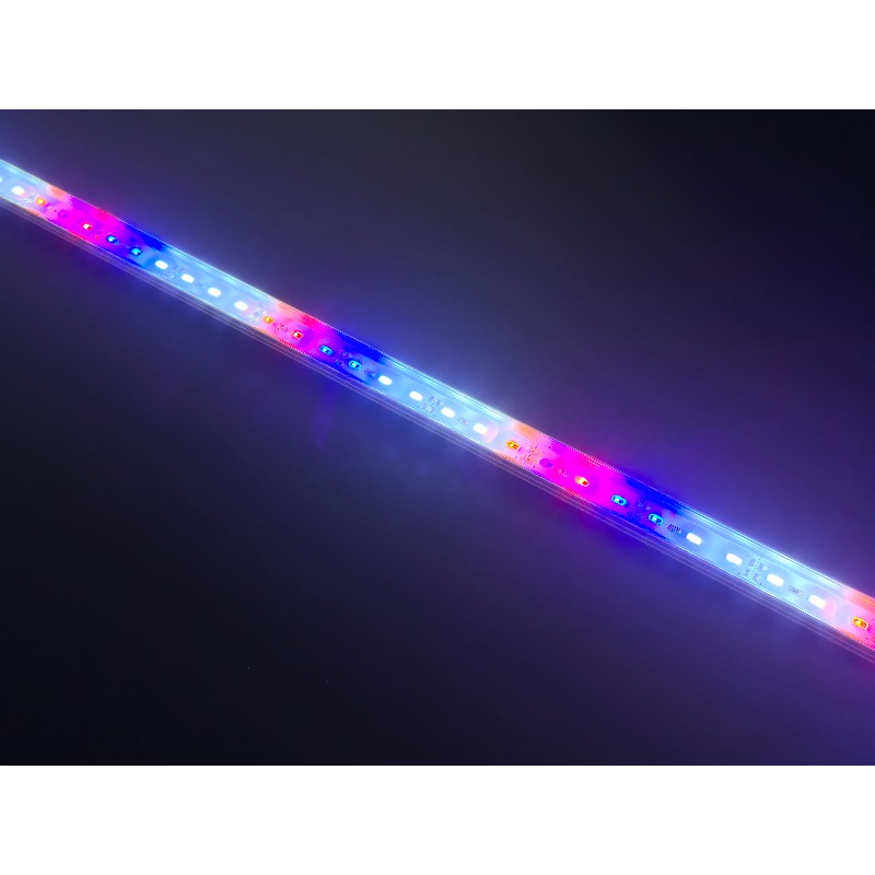 Lampu LED Akuarium Tahan Air I - Aquarium Blue Marine Reef ulasan dan harga