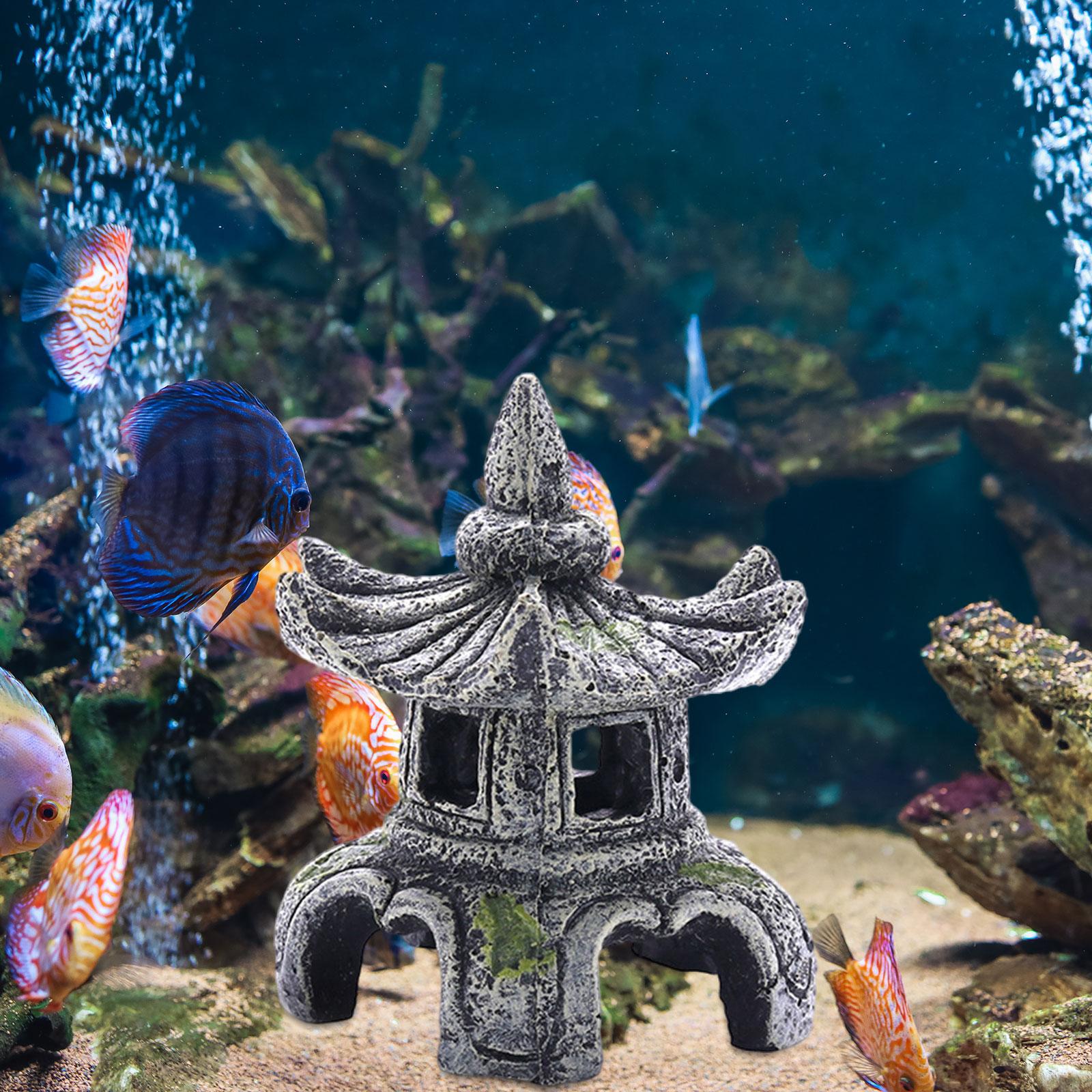 Ornamen akuarium aksesoris aku - Marine Aquarium For Sale ulasan dan harga