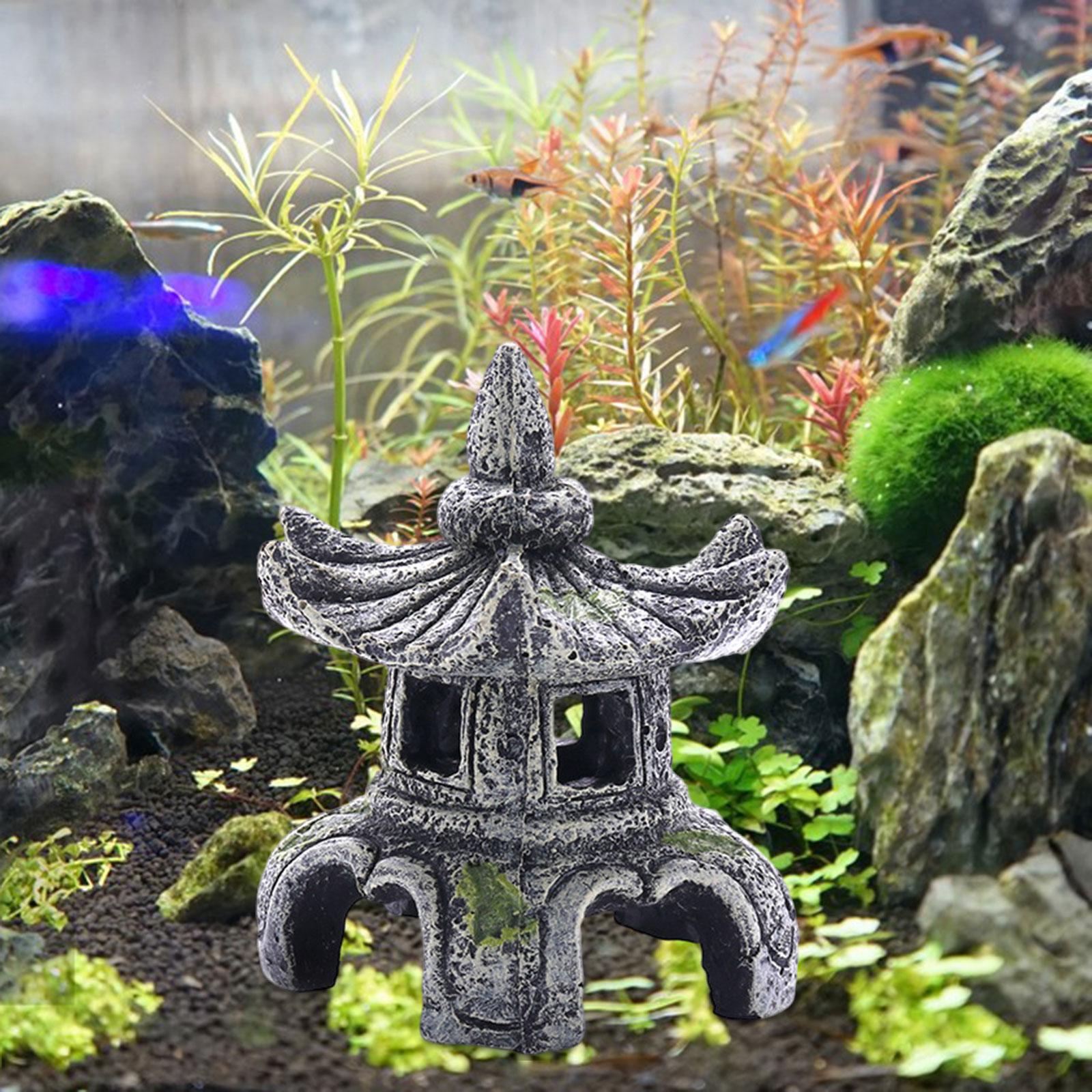 Ornamen akuarium aksesoris aku - Marine Aquarium For Sale ulasan dan harga