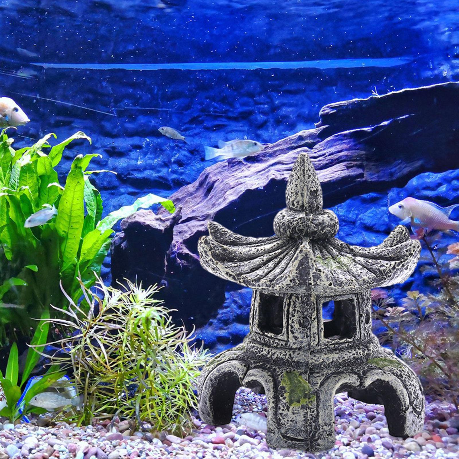 Ornamen akuarium aksesoris aku - Marine Aquarium For Sale ulasan dan harga