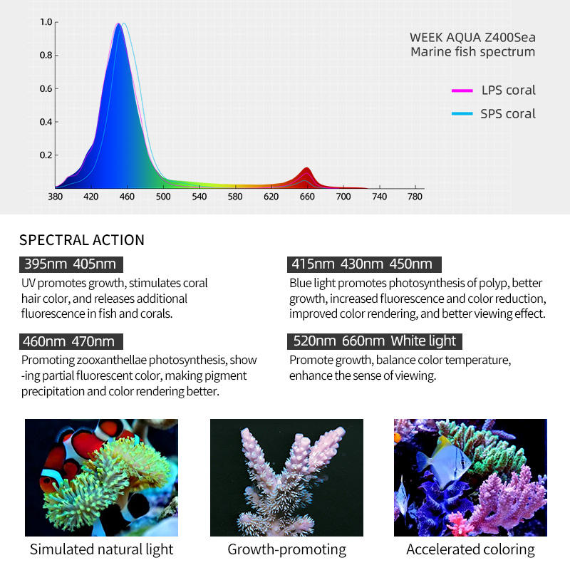 Lampu LED Laut ZXY Hot Sale WE - Aquarium Blue Marine Reef ulasan dan harga