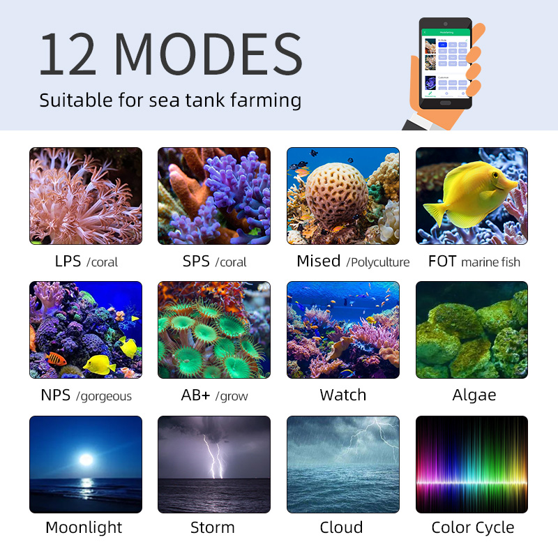 Lampu LED Laut ZXY Hot Sale WE - Aquarium Blue Marine Reef ulasan dan harga