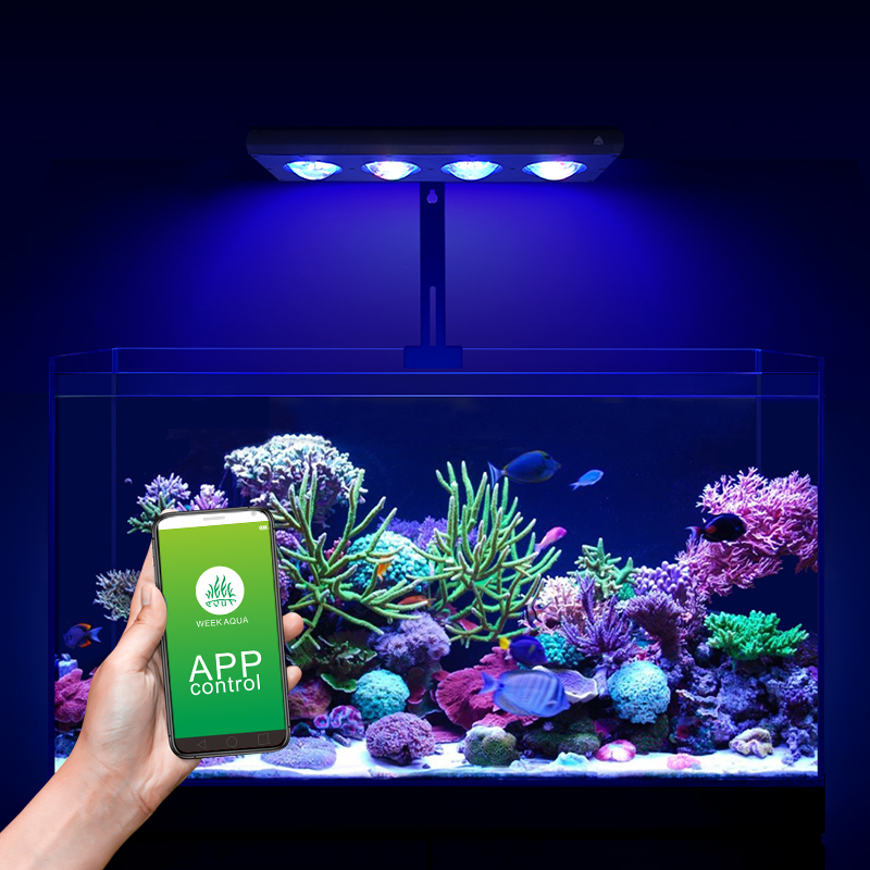 Lampu LED Laut ZXY Hot Sale WE - Aquarium Blue Marine Reef ulasan dan harga