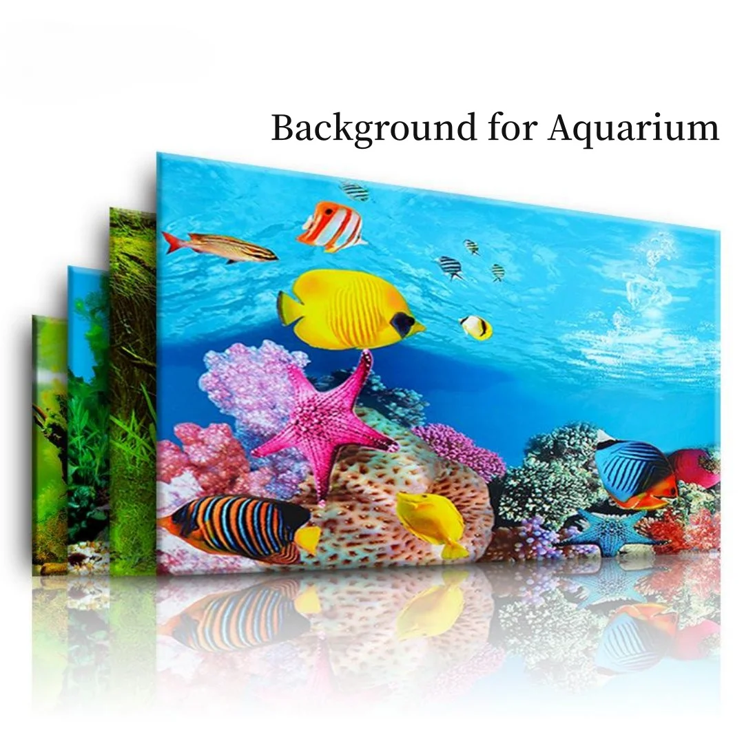Latar belakang akuarium 3D sti - Marine Aquarium For Sale ulasan dan harga