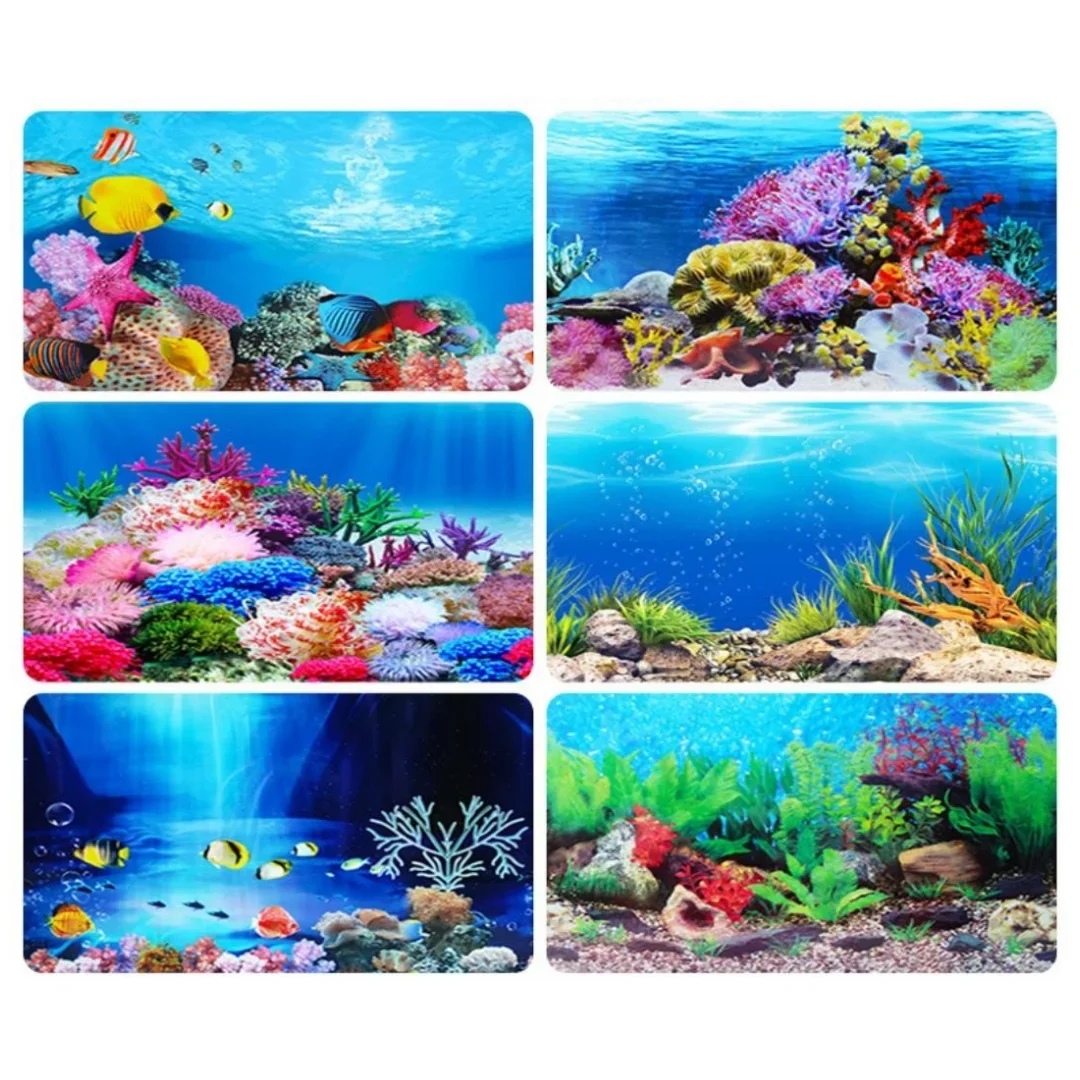Latar belakang akuarium 3D sti - Marine Aquarium For Sale ulasan dan harga