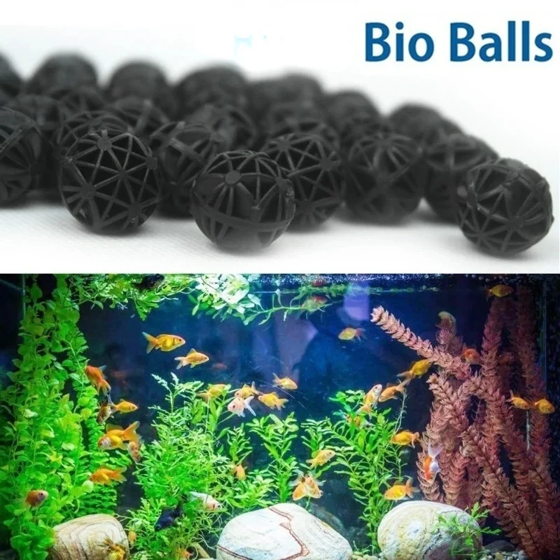 50/100 buah akuarium rumah kol - Marine Aquarium Home ulasan dan harga