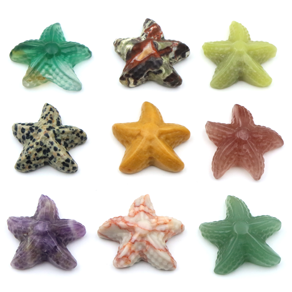 Patung Bentuk Bintang Laut 35M - Marine Aquarium & Regional Centre Reviews ulasan dan harga