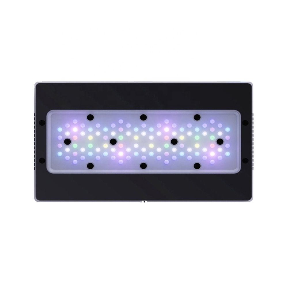 Lampu LED Akuarium Laut A8SE I - Aquarium Blue Marine Reef ulasan dan harga