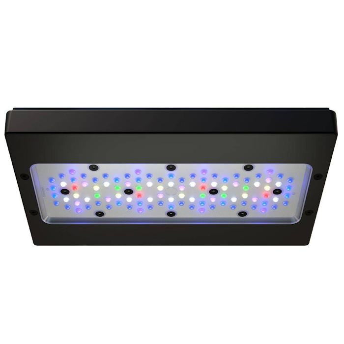 Lampu LED Akuarium Terumbu Kar - Aquarium Blue Marine Reef ulasan dan harga