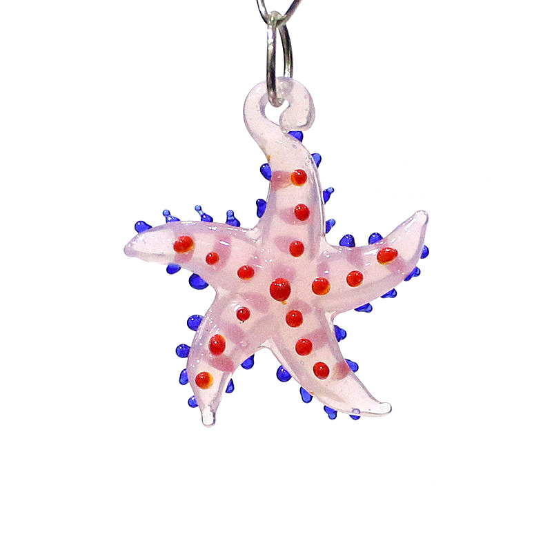 Lucu hewan laut bintang laut p - Marine Aquarium & Regional Centre Reviews ulasan dan harga