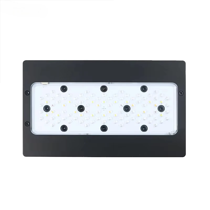 Lampu Akuarium Air Laut Spektr - Aquarium Blue Marine Reef ulasan dan harga