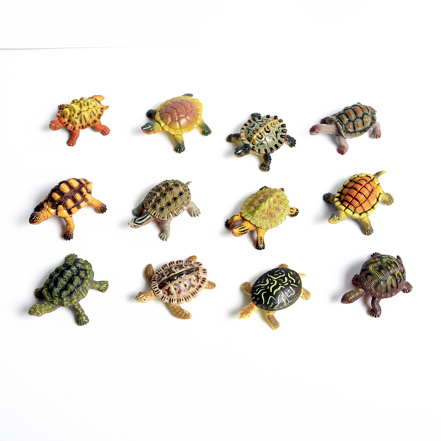 Miniatur realistis kehidupan l - Marine Aquarium & Regional Centre Reviews ulasan dan harga