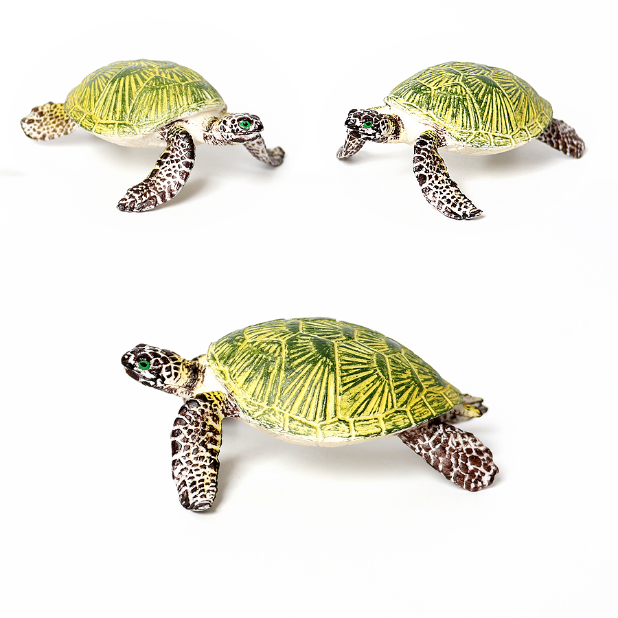 Miniatur realistis kehidupan l - Marine Aquarium & Regional Centre Reviews ulasan dan harga
